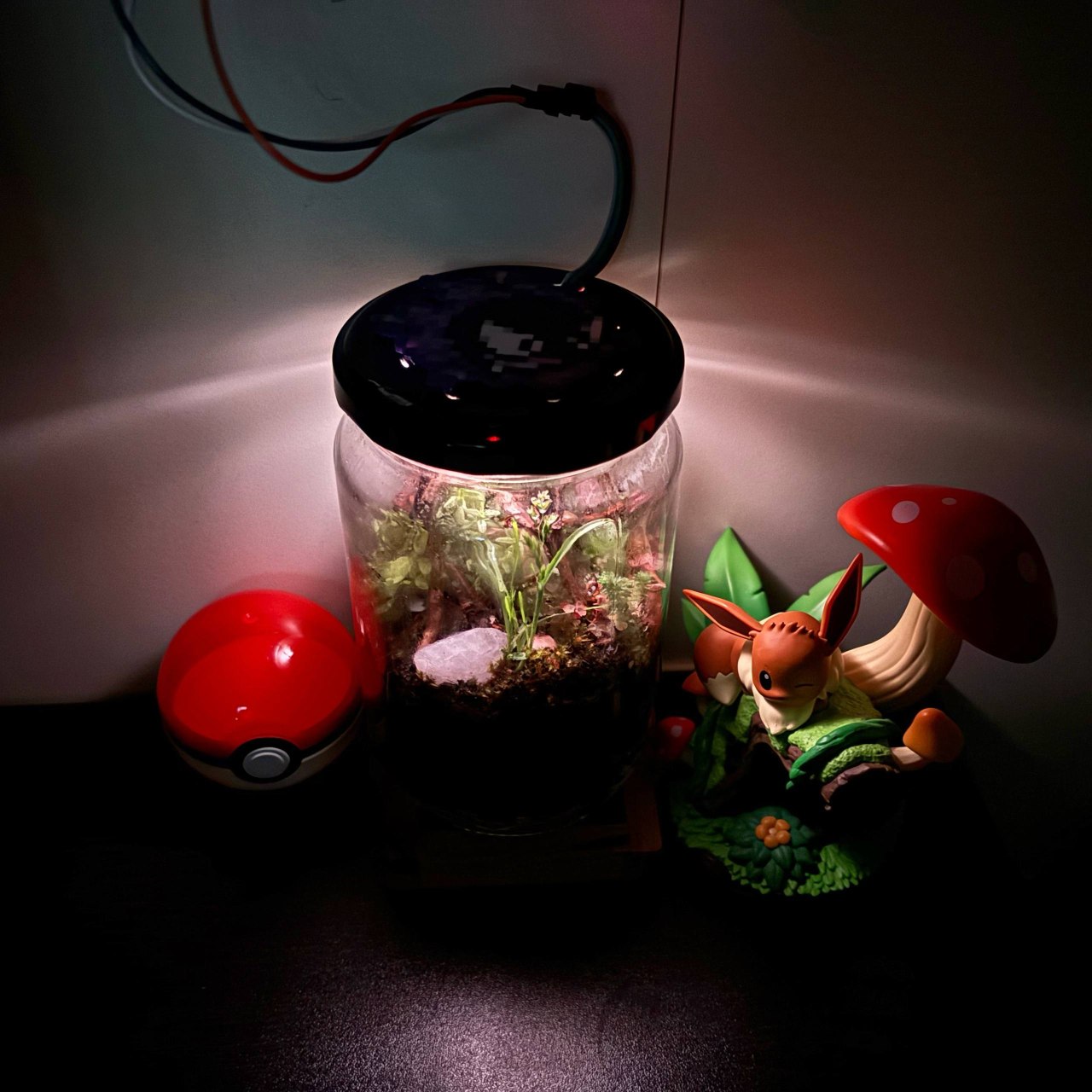 The finished Raspberrarium