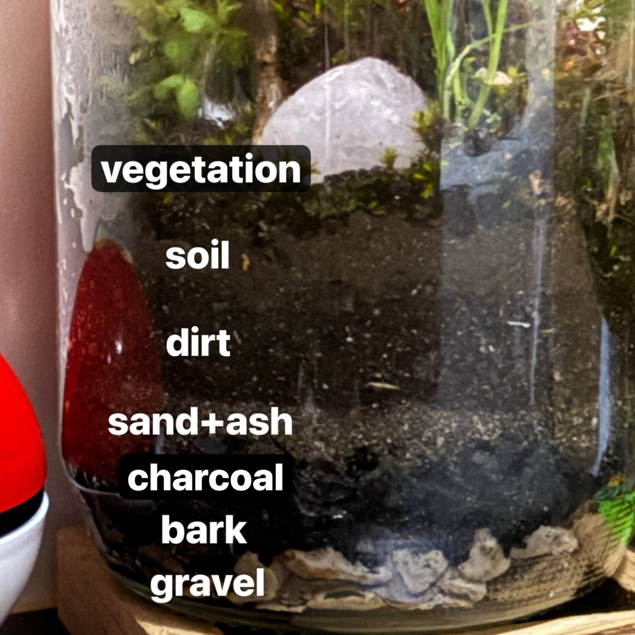 Side view of the jar showing the layers